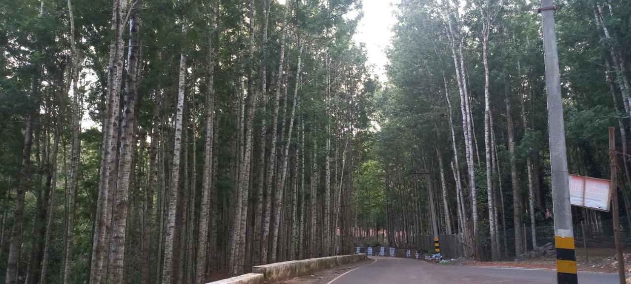 Istays - Loop Road, Yercaud Exterior foto